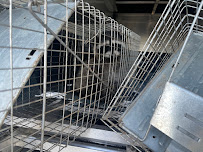 Knight Wildlife - Photo 9 - Car repair in Tacoma, WA, Tacoma