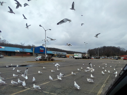 Shopping Mall «Sussex County Mall», reviews and photos, 15 Hampton House Rd, Newton, NJ 07860, USA