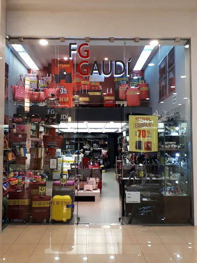 FG GAUDI