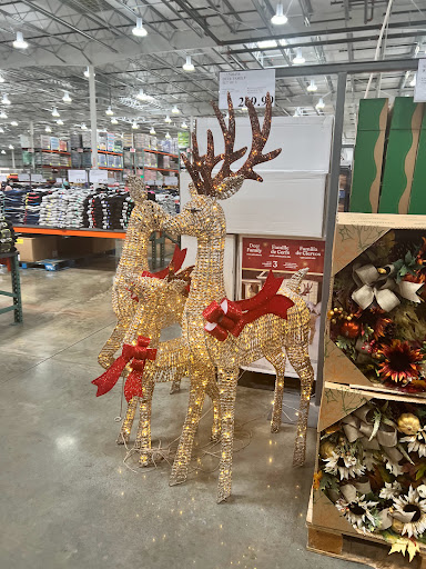  «Costco Wholesale», reviews and photos, 3500 Business Center Dr, Pearland, TX 77584, USA