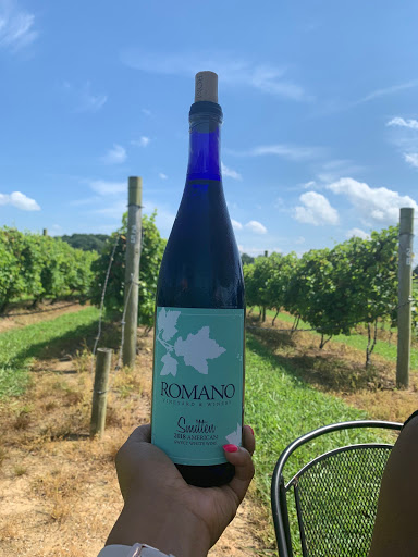 Vineyard «Romano Vineyard & Winery», reviews and photos, 15715 Bald Eagle School Rd, Brandywine, MD 20613, USA