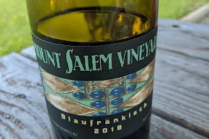 Mount Salem Vineyards image
