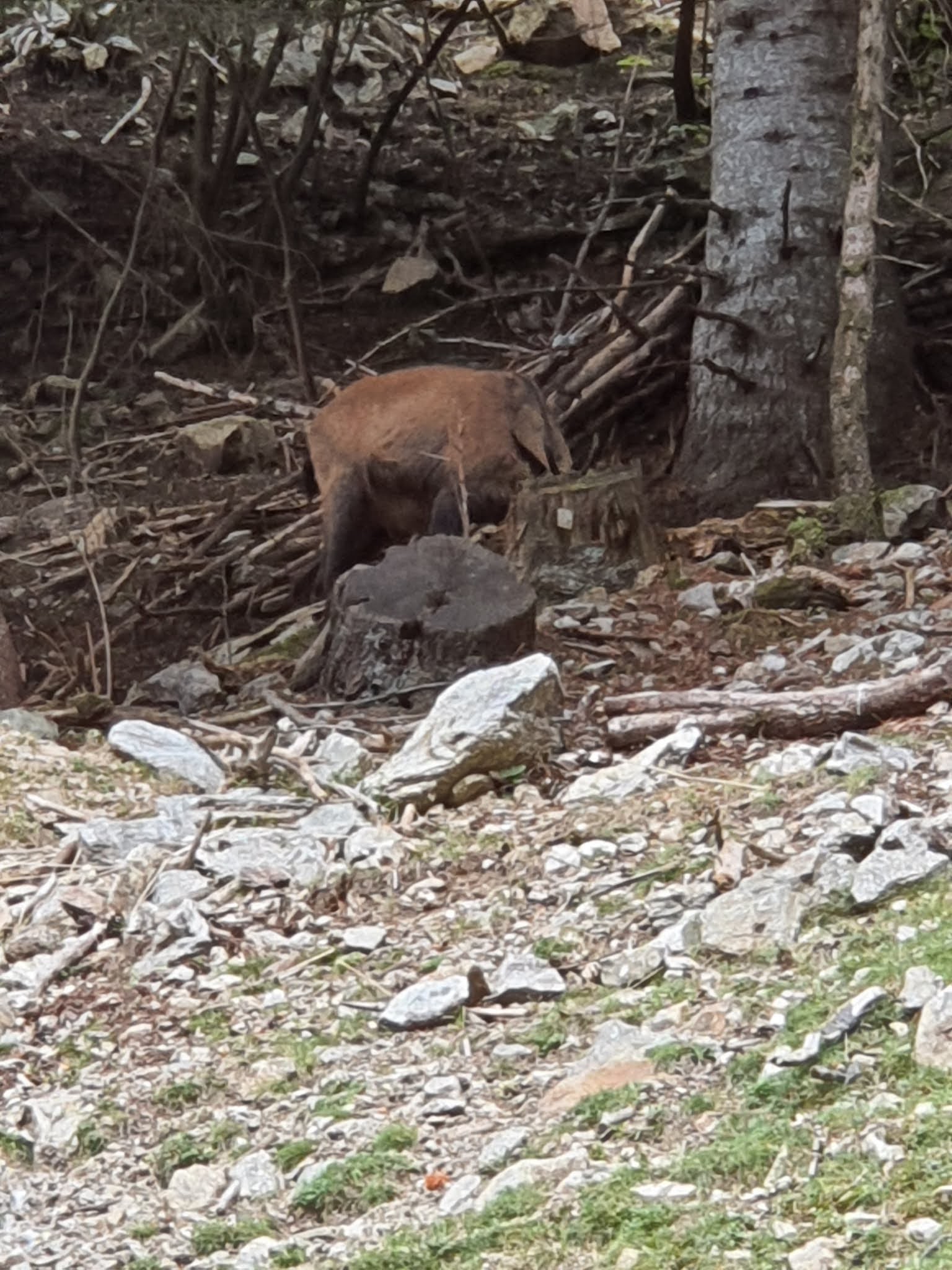 Photo n° 2 de l'avis de Christophe.e fait le 17/08/2020 à 16:36