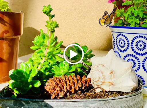 Home Improvement Store «The Home Depot», reviews and photos, 600 S Harbor Blvd, La Habra, CA 90631, USA