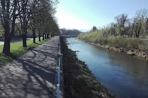 Rzeka Kamienica image