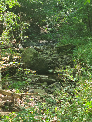 Nature Preserve «Centennial Woods Natural Area», reviews and photos, I-89, Burlington, VT 05401, USA