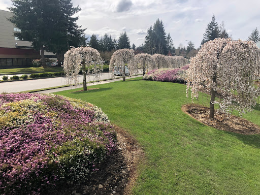 Pharmacy «Key Compounding Pharmacy», reviews and photos, 530 S 336th St, Federal Way, WA 98003, USA