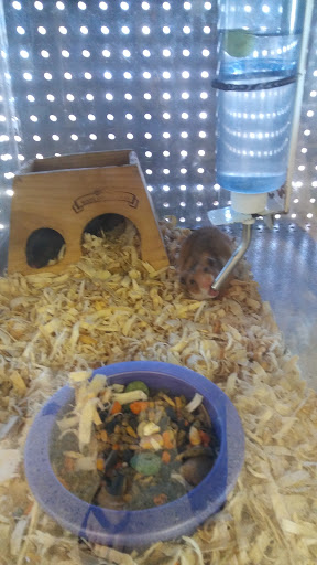 Pet Supply Store «Pet Bazaar», reviews and photos, 490 FL-436, Casselberry, FL 32707, USA