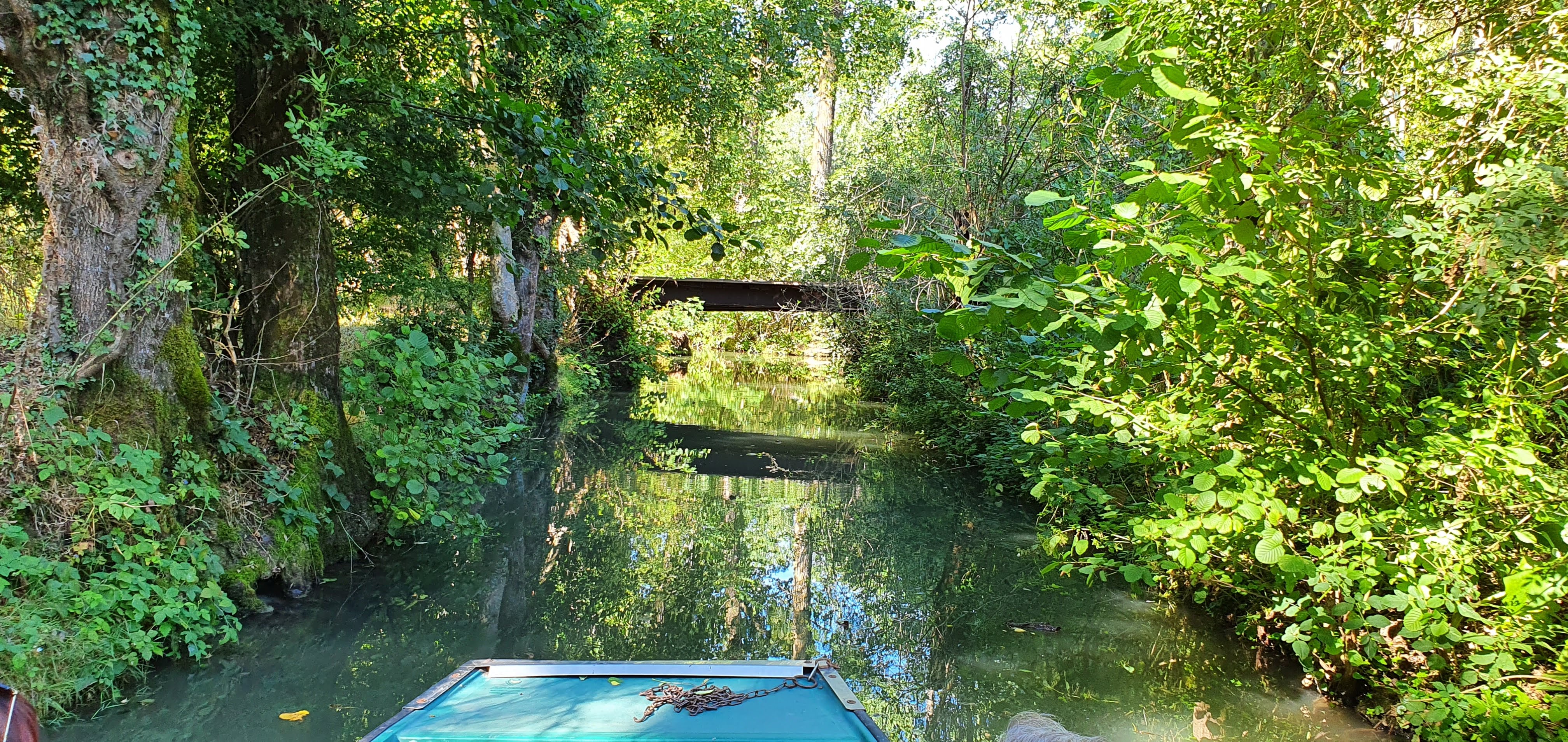 Photo n° 8 de l'avis de michel.e fait le 06/09/2021 à 19:46