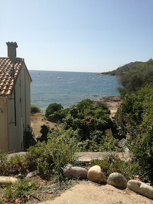 Le Calypso M Sarl à Casaglione