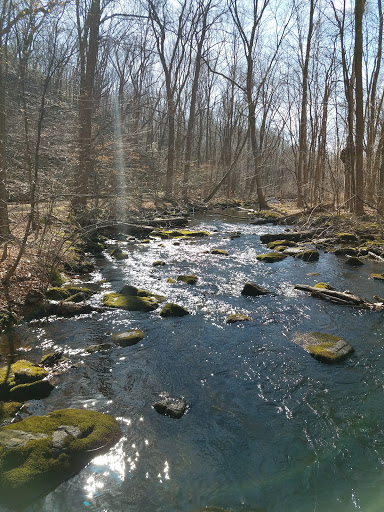 Motorsports Store «New Jersey Motorsports Park», reviews and photos, 8000 Dividing Creek Rd, Millville, NJ 08332, USA