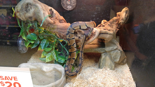 Pet Supply Store «PetSmart», reviews and photos, 144 Retail Commons Pkwy, Martinsburg, WV 25403, USA