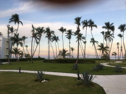 Travel Agency «Island Travel Company», reviews and photos, 253 Park Blvd, Worthington, OH 43085, USA