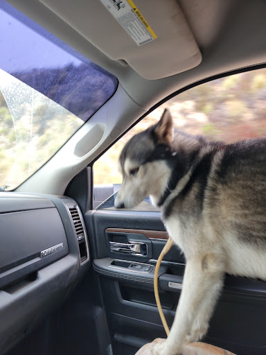 Country Pet Hospital