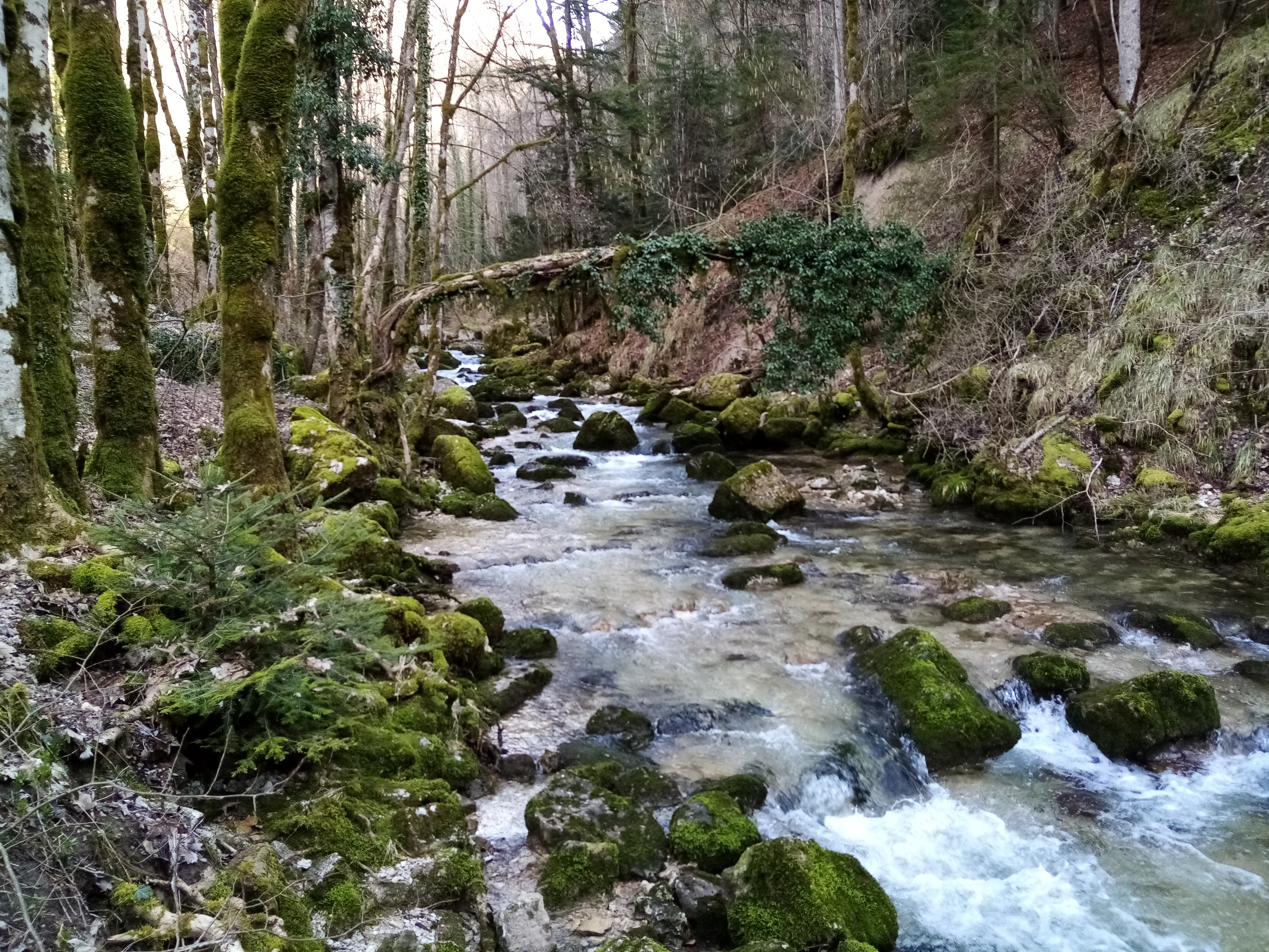 Photo n° 1 de l'avis de Fabrice.u fait le 26/02/2020 à 15:44