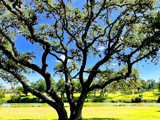 Zoo «The Exotic Resort Zoo», reviews and photos, 235 Zoo Trail, Johnson City, TX 78636, USA