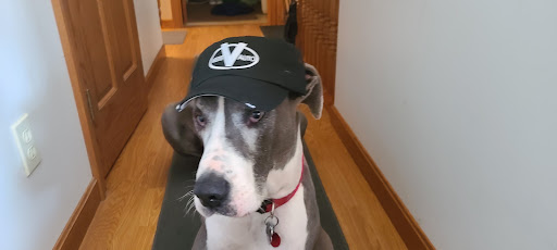 Used Car Dealer «Danville Auto Sales», reviews and photos, 13736 Millersburg Rd, Danville, OH 43014, USA