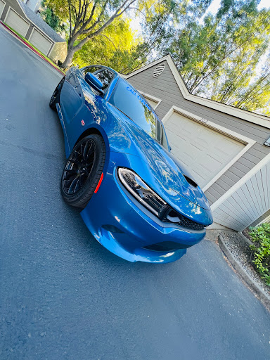 Tint World image