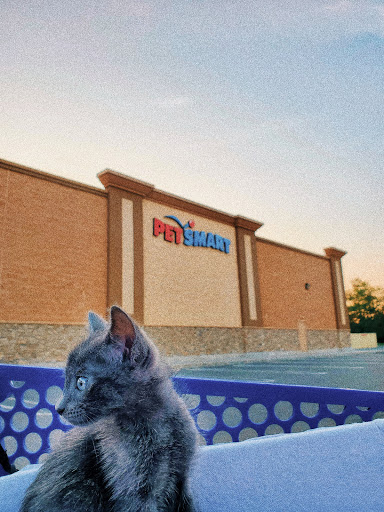 Pet Supply Store «PetSmart», reviews and photos, 132 NJ-31, Flemington, NJ 08822, USA