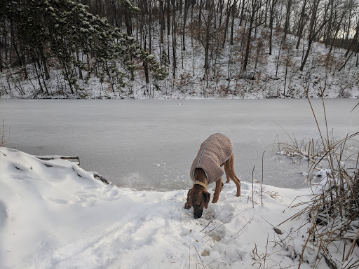 Nature Preserve «Jefferson Memorial Forest», reviews and photos, 11311 Mitchell Hill Rd, Fairdale, KY 40118, USA