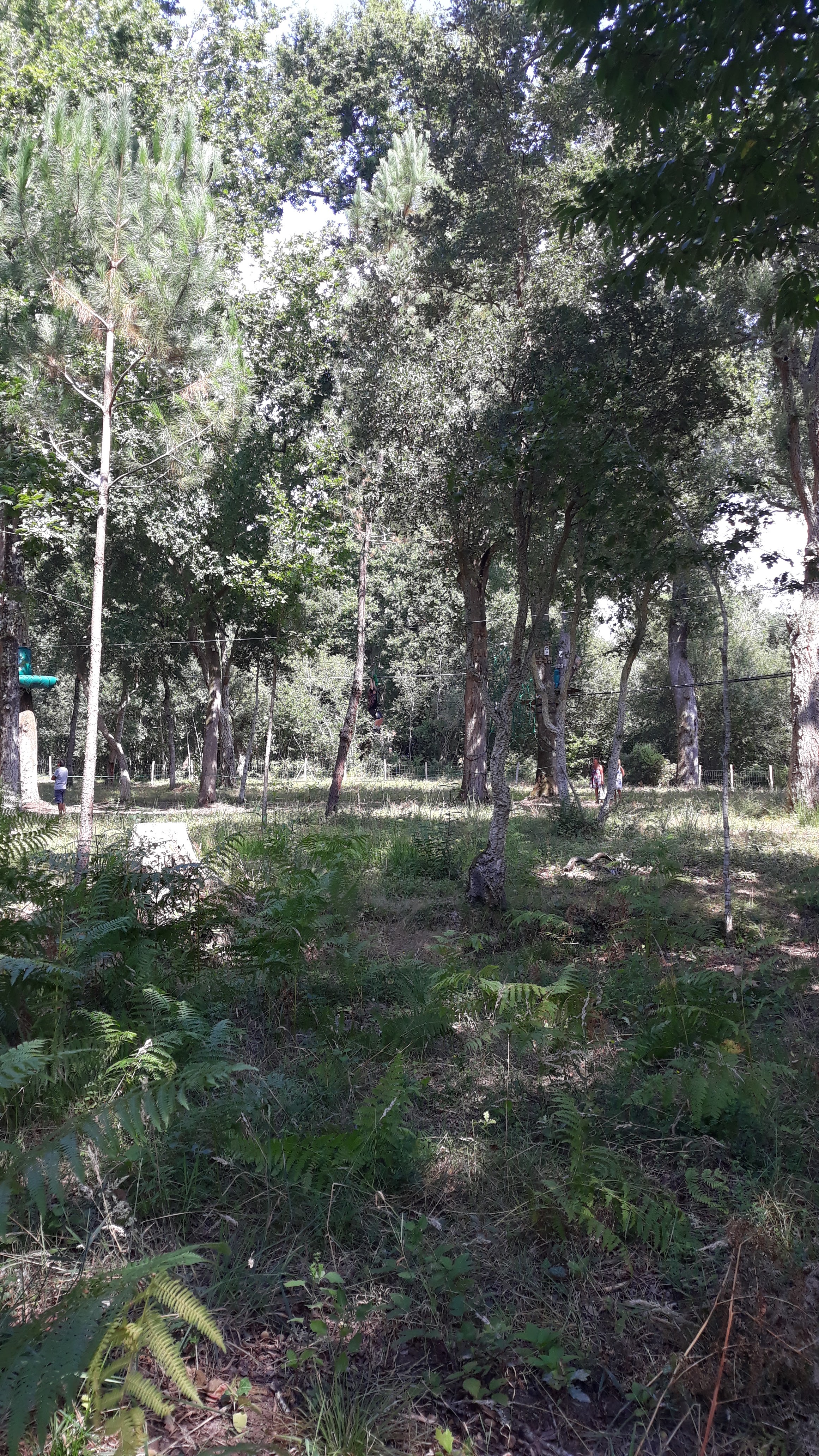 Photo n° 1 de l'avis de Veronique.e fait le 28/08/2019 à 14:40