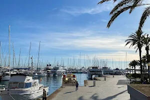 City Sightseeing Palma de Mallorca image