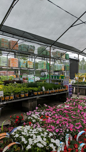 Home Improvement Store «The Home Depot», reviews and photos, 782 PA-113, Souderton, PA 18964, USA