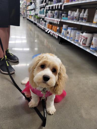 Pet Supply Store «PetSmart», reviews and photos, 23271 Eureka Rd, Taylor, MI 48180, USA