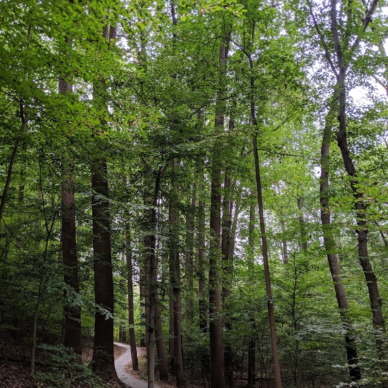 Elkhorn Branch Trail