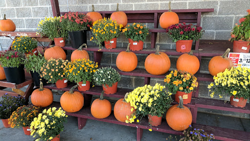 Shopping Mall «Brookside Plaza», reviews and photos, 10-38 Hazard Ave, Enfield, CT 06082, USA