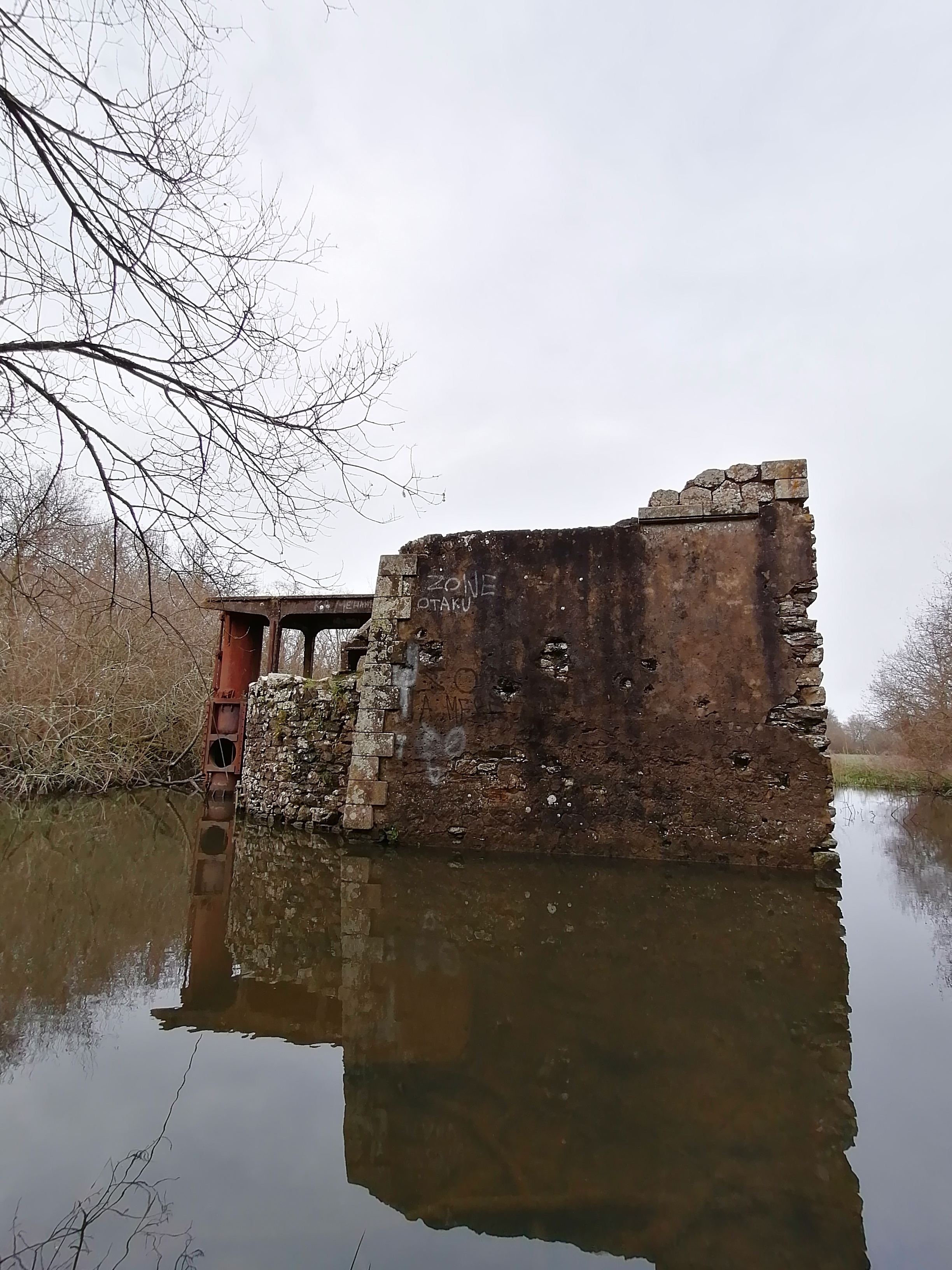 Photo n° 14 de l'avis de artem.a fait le 02/01/2020 à 15:29