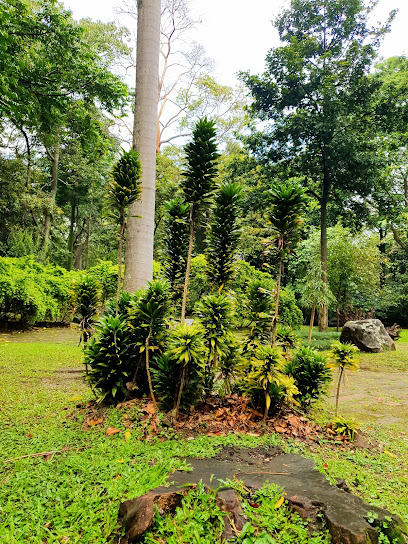 Orquideorama Jardín Botánico