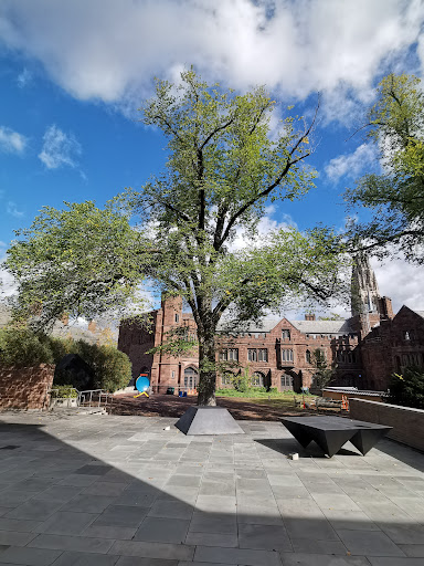 Art Gallery «Yale University Art Gallery», reviews and photos, 1111 Chapel St, New Haven, CT 06510, USA