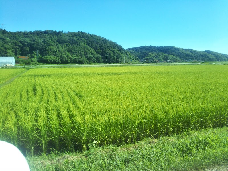 錦峰園製茶場