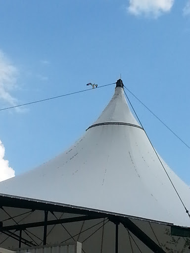 Amphitheater «The St. Augustine Amphitheatre», reviews and photos, 1340C A1A S, St Augustine, FL 32080, USA