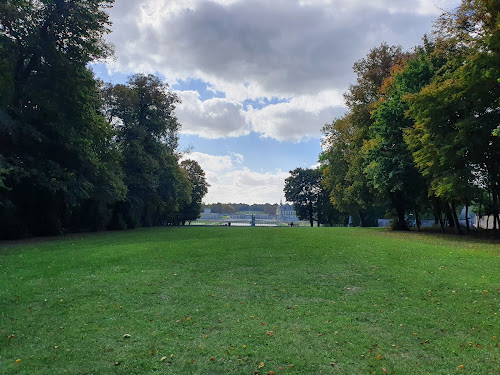 Allée des huit rangs à Vineuil-Saint-Firmin