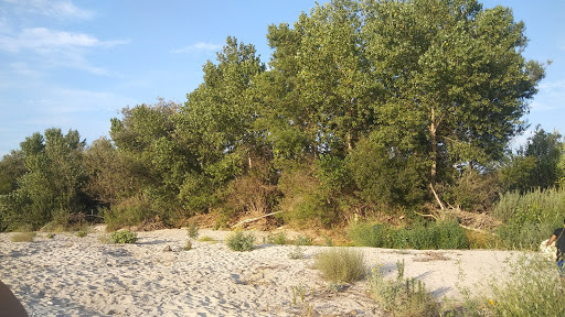 Public Golf Course «Paradise Knolls Golf Course», reviews and photos, 9330 Limonite Ave, Riverside, CA 92509, USA