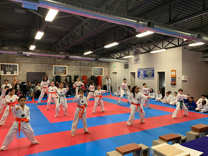 CTI - School of Martial Arts