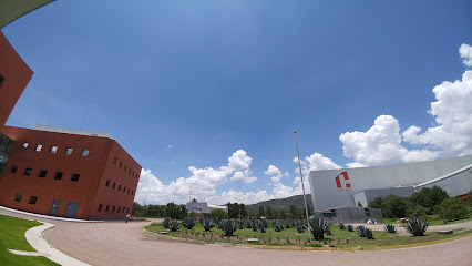 Productos Farmacéuticos Chinoin Carretera A Pabellón De Hidalgo Km. 4.2 Municipio Rincón De Romos, 20420 Aguascalientes, Aguascalientes, Mexico