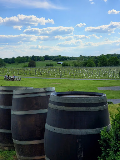 Winery «Greenhill Winery & Vineyards», reviews and photos, 23595 Winery Ln, Middleburg, VA 20117, USA