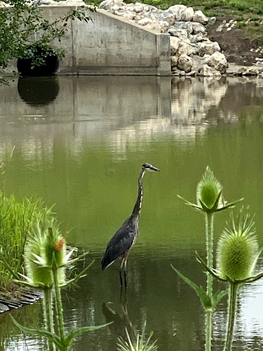 Nature Preserve «Buffalo Creek Forest Preserve», reviews and photos, 18163 W Checker Rd, Long Grove, IL 60047, USA