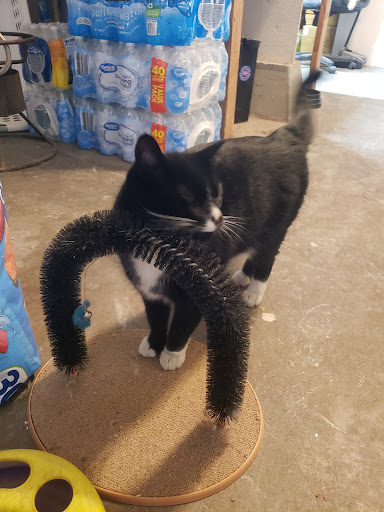 Pet Supply Store «PetSmart», reviews and photos, 4240 S Mooney Blvd, Visalia, CA 93277, USA