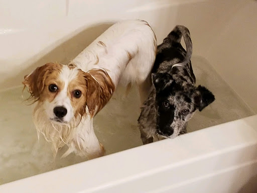 Pet Supply Store «Petco Animal Supplies», reviews and photos, 13691 Ridgedale Dr, Minnetonka, MN 55305, USA