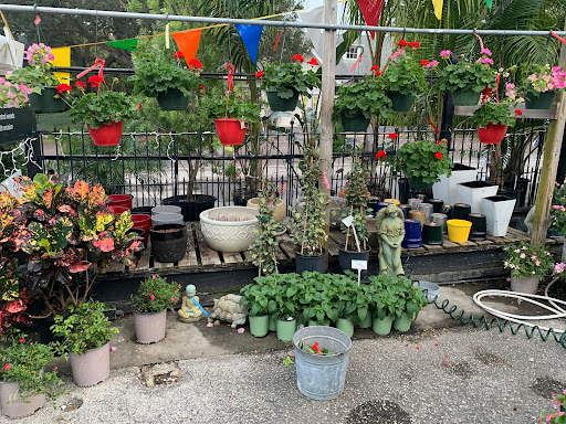 Grocery Store «Bayshore Market», reviews and photos, 5025 Bayshore Blvd, Tampa, FL 33611, USA