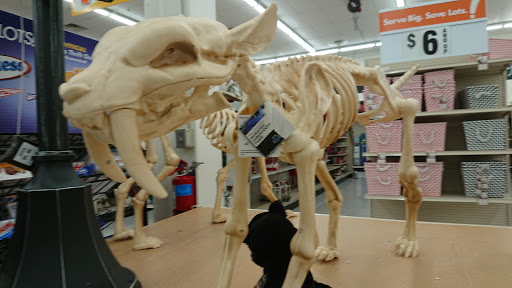 Discount Store «Big Lots», reviews and photos, 3140 Lohr Rd, Ann Arbor, MI 48108, USA