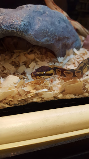 Pet Supply Store «PetSmart», reviews and photos, 2017 N Prospect Ave, Champaign, IL 61822, USA