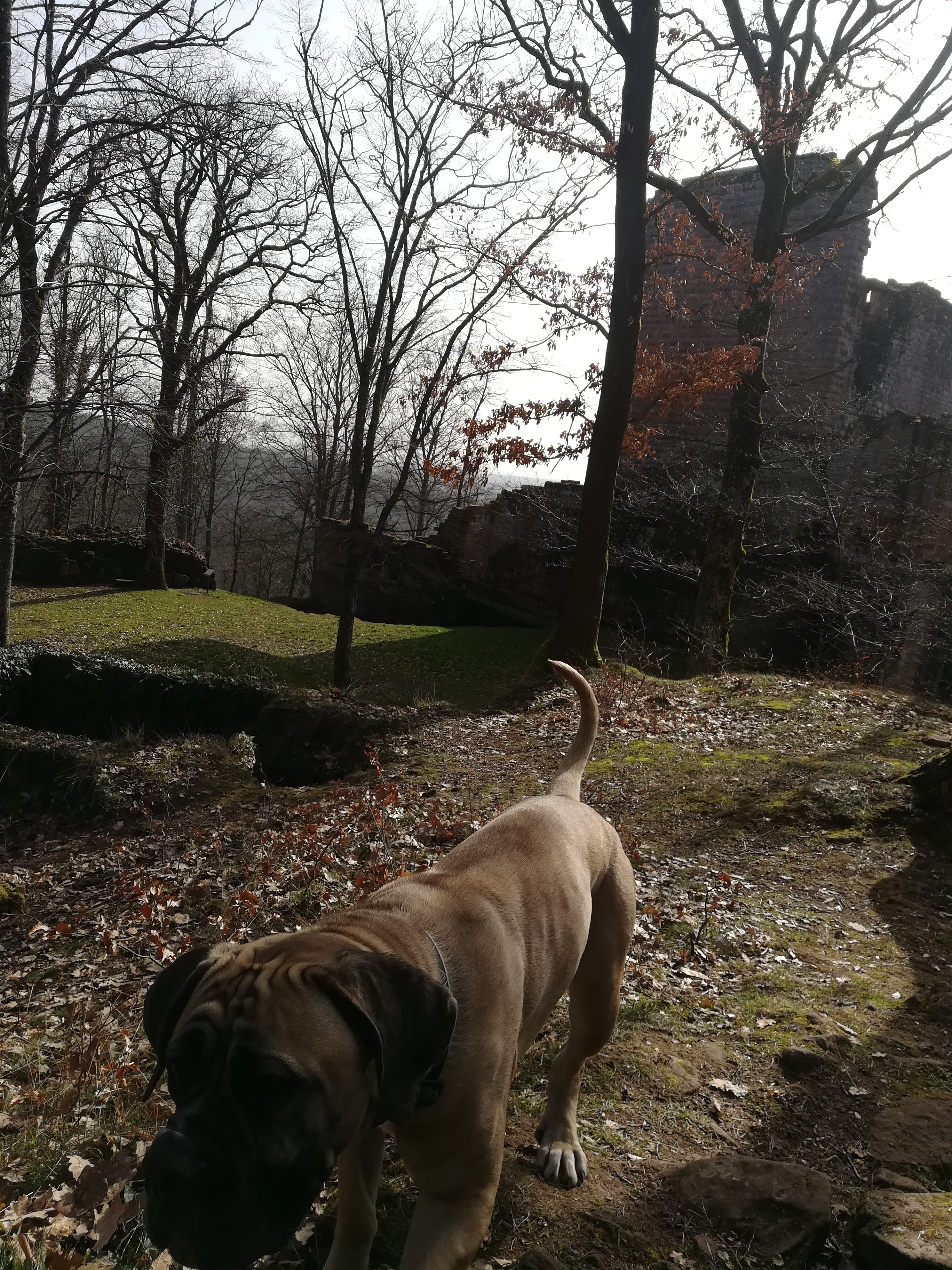 Photo n° 2 de l'avis de Virginie.i fait le 24/02/2021 à 18:12