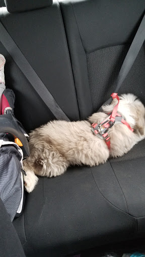 Ford Dealer «Sheehy Ford Lincoln of Gaithersburg», reviews and photos, 901 Frederick Rd, Gaithersburg, MD 20879, USA