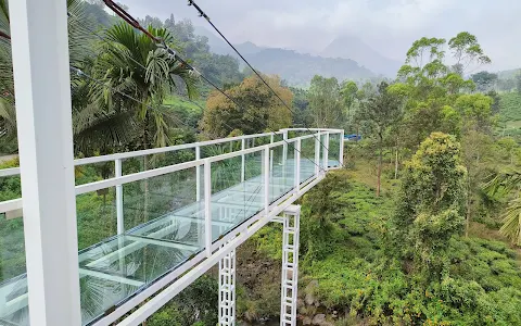 Fly 900! | Adventure Activity Park | Wayanad Tourism image