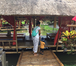 Desa Wisata Bebek Mebaris ( Dewi Bebaris ) photo